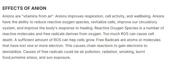 Professional Multifunction Oxygen Facial Machine