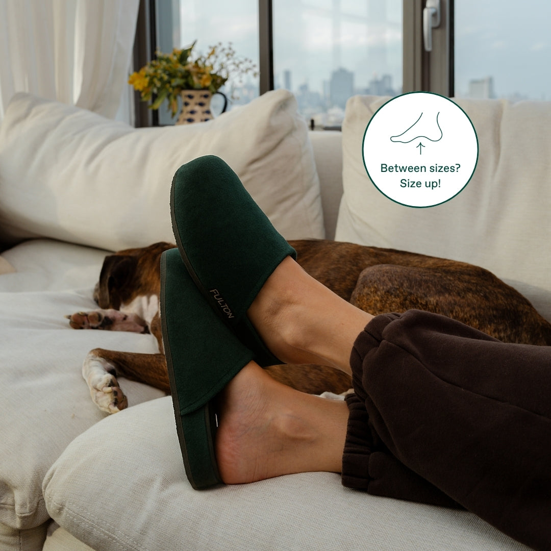 The House Shoe